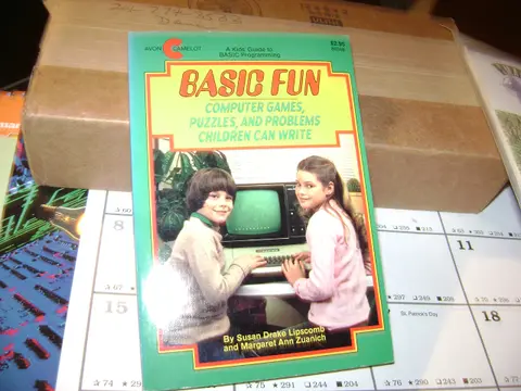 Cover of Basic Fun
