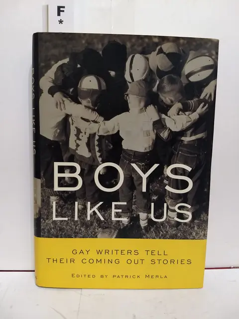 Cover of Boys Like Us