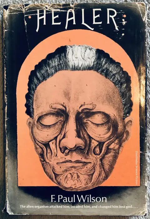 Cover of Healer