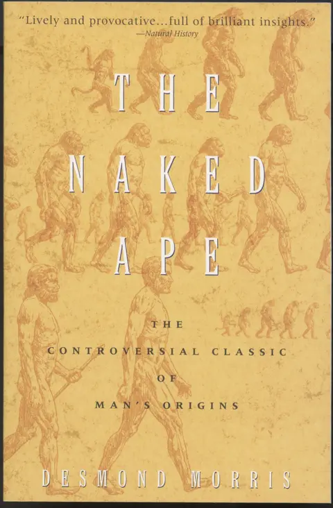 Cover of The Naked Ape