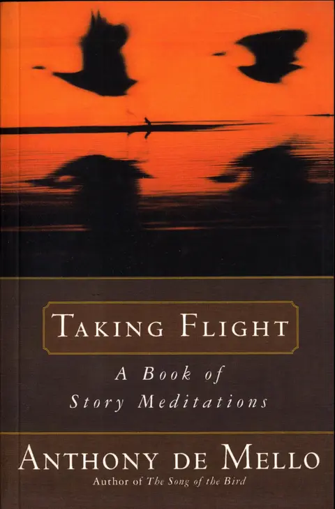Cover of Taking Flight