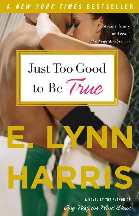 Cover of Just Too Good to Be True