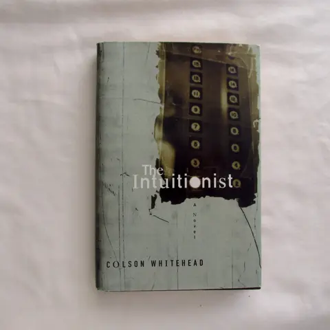 Cover of The Intuitionist