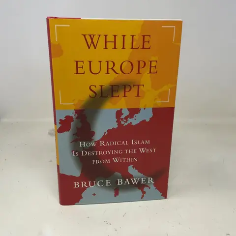Cover of While Europe Slept