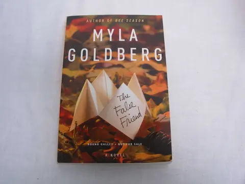 Cover of The False Friend