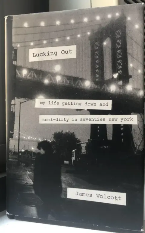 Cover of Lucking Out