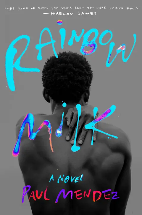 Cover of Rainbow Milk