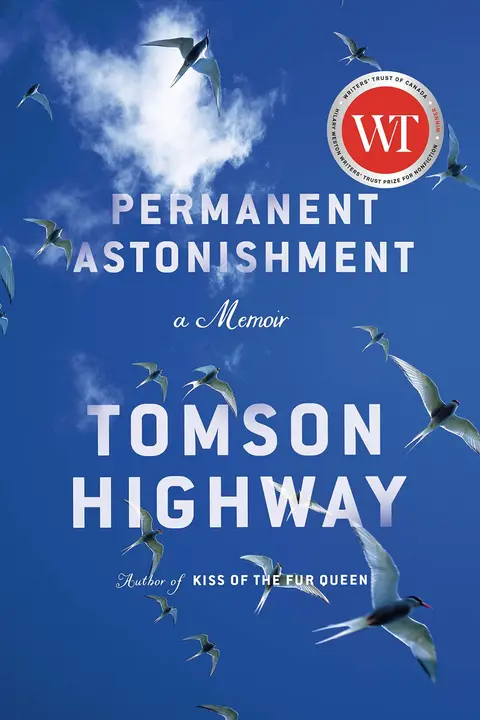 Cover of Permanent Astonishment