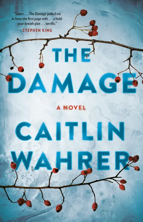 Cover of The Damage