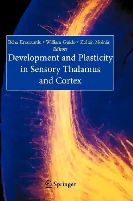 Cover of Development and Plasticity in Sensory Thalamus and Cortex