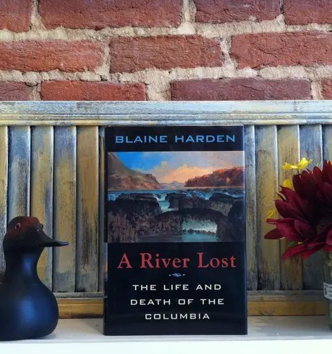 Cover of A River Lost