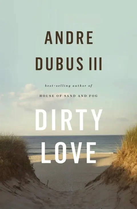 Cover of Dirty Love