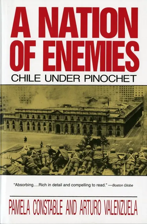 Cover of A Nation of Enemies