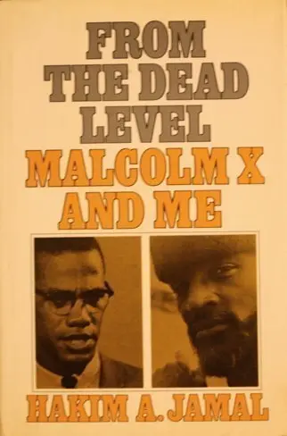 Cover of From the Dead Level