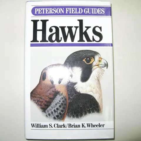 Cover of Field Guide to Hawks