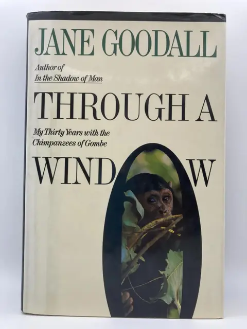 Cover of Through a Window