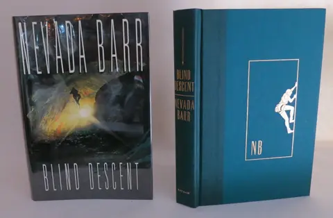 Cover of Blind Descent