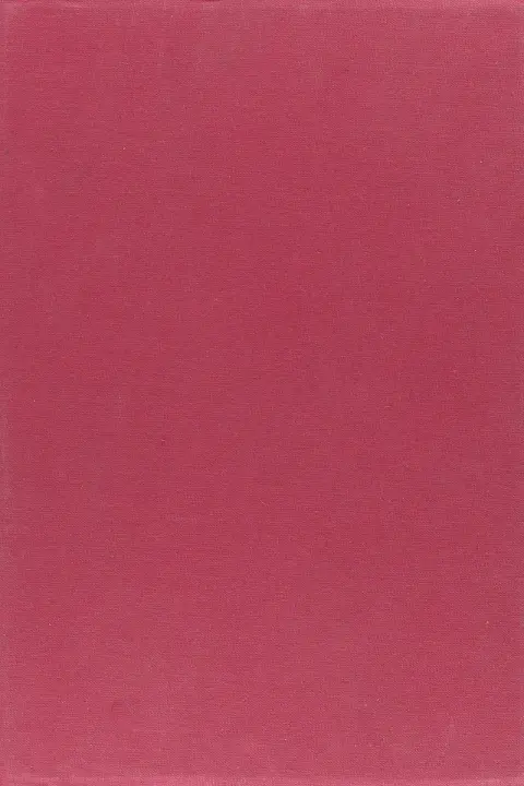 Cover of Red Rabbit