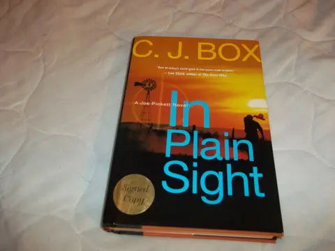 Cover of In Plain Sight
