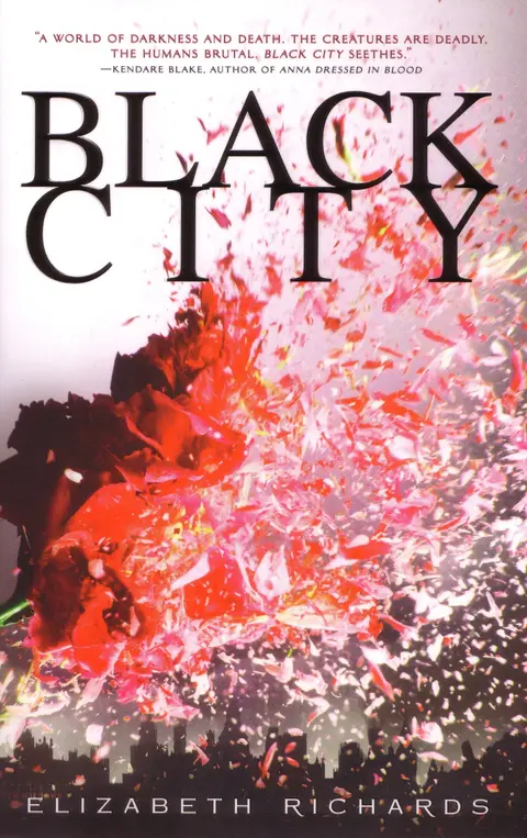 Cover of Black City