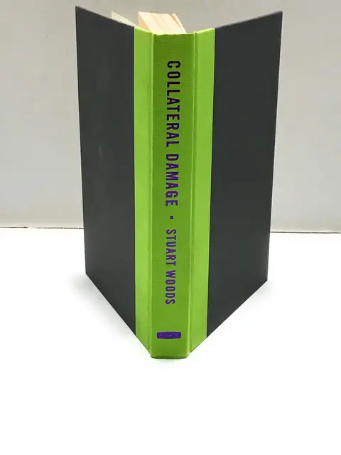 Cover of Collateral Damage