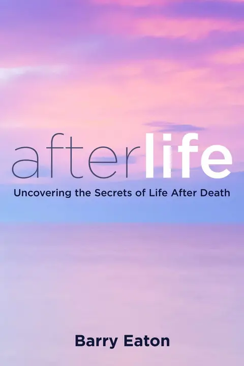 Cover of Afterlife
