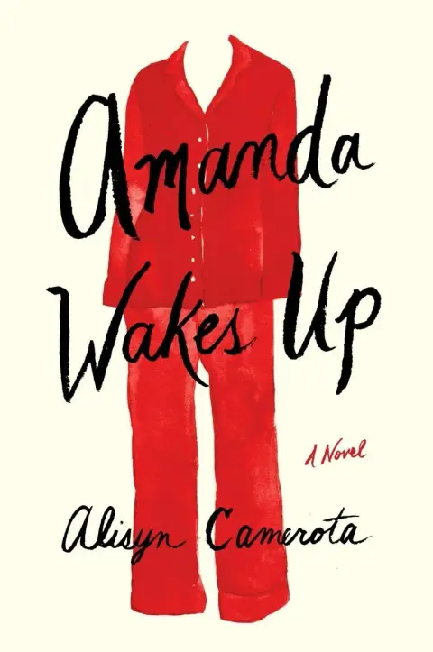 Cover of Amanda Wakes up