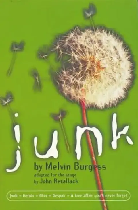 Cover of Junk