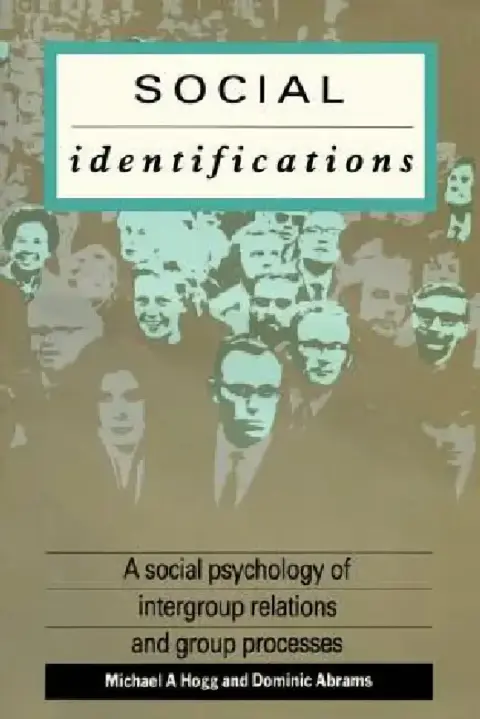 Cover of Social Identifications