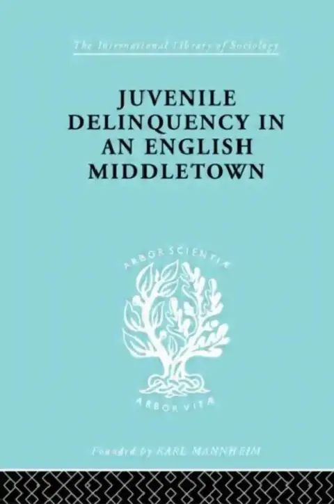 Cover of Juvenile Delinquency in an English Middle Town