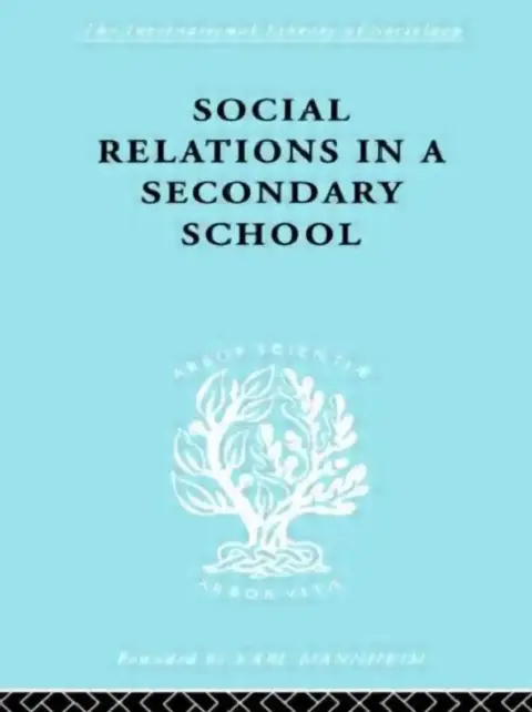 Cover of Social Relations in a Secondary School