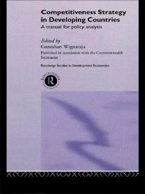 Cover of Competitiveness Strategy in Developing Countries