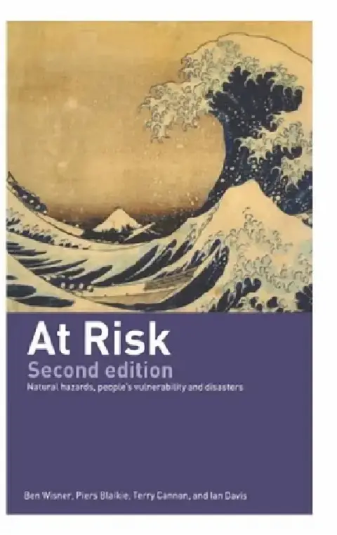 Cover of At Risk
