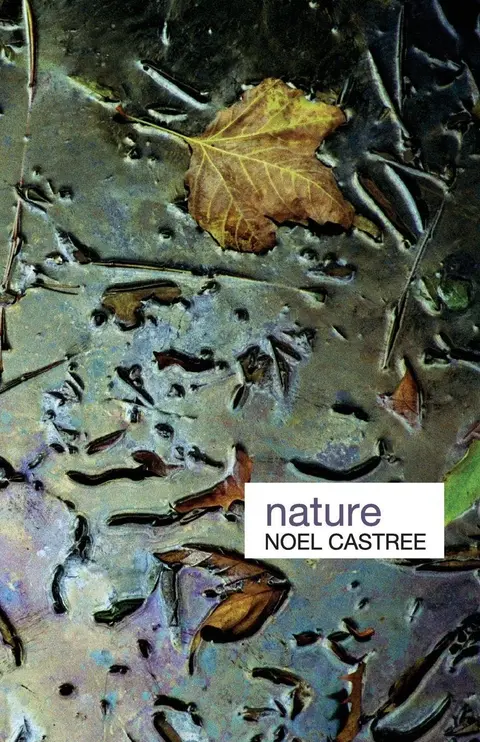 Cover of Nature