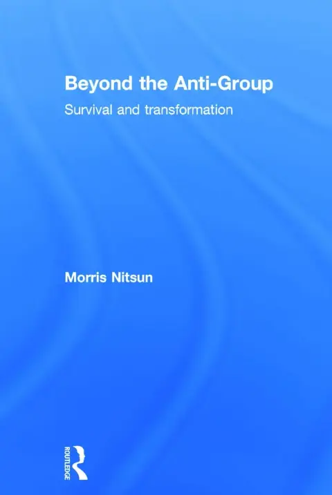 Cover of Beyond the Anti-Group