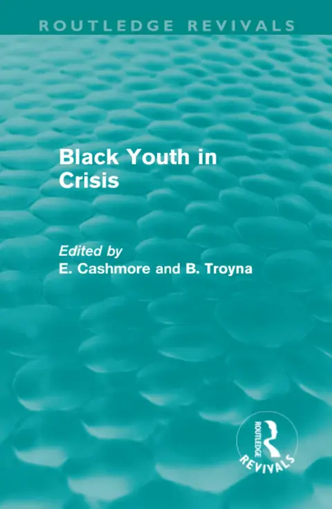 Cover of Black Youth in Crisis
