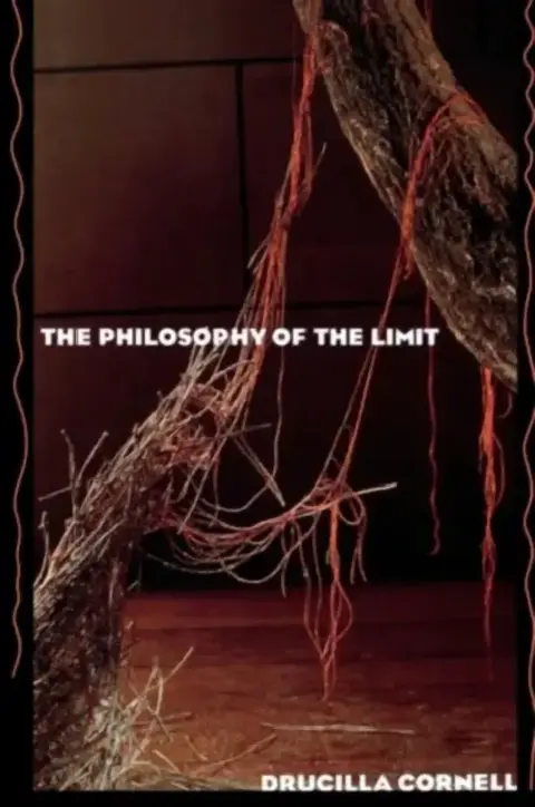 Cover of The Philosophy of the Limit