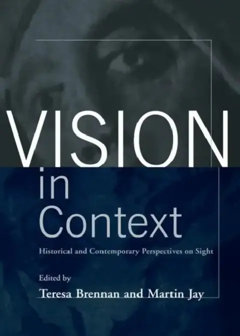 Cover of Vision In Context