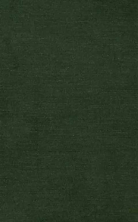 Cover of Fugitive Cultures
