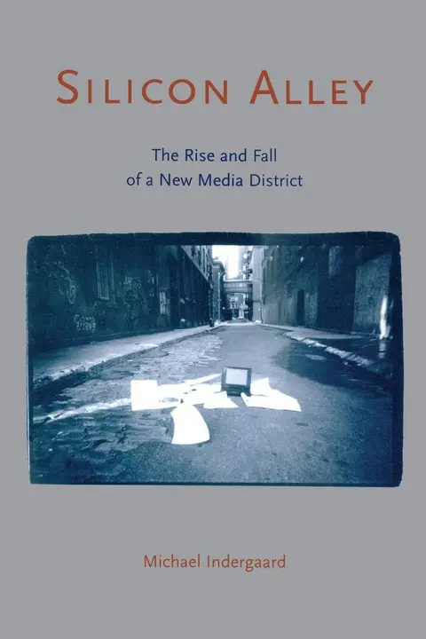 Cover of Silicon Alley