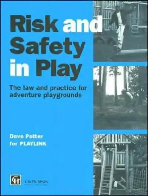 Cover of Risk and Safety in Play