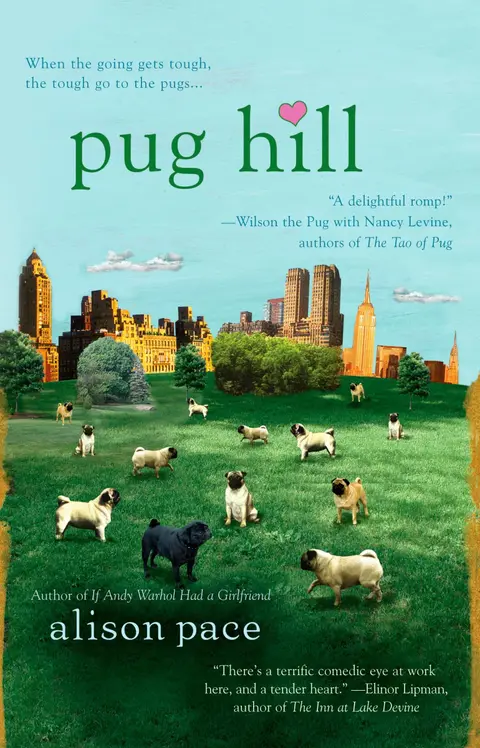 Cover of Pug Hill