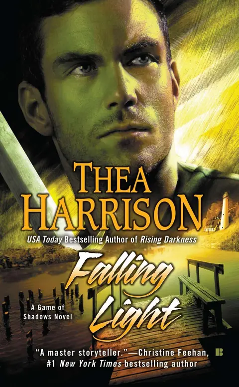 Cover of Falling Light