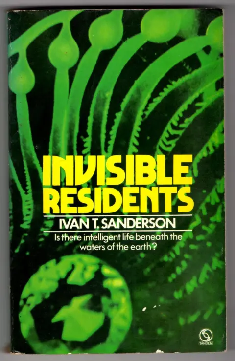 Cover of Invisible Residents