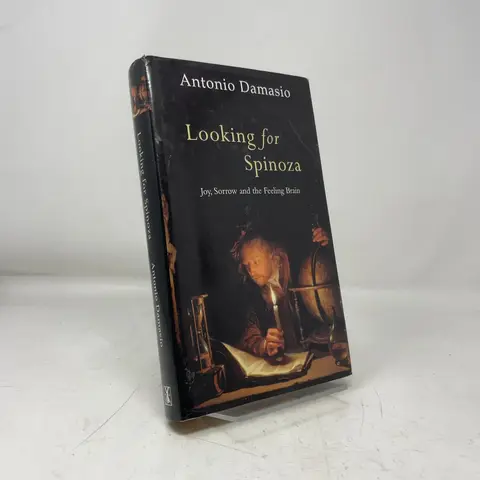 Cover of Looking for Spinoza