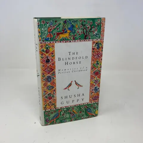 Cover of Blindfold Horse