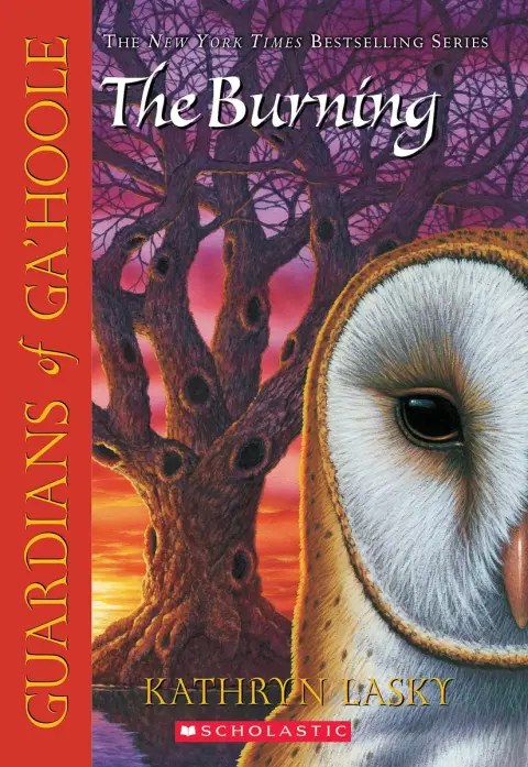 Cover of The Burning
