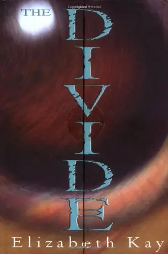 Cover of The Divide