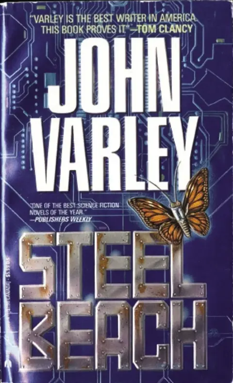 Cover of Steel Beach