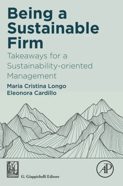 Cover of Being a Sustainable Firm